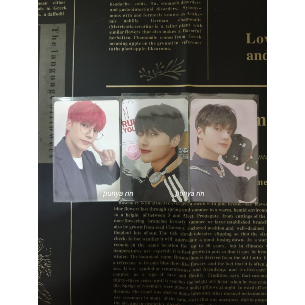 Pc Ateez Wooyoung Nacific POB Halazia Hello82 US Aniteez