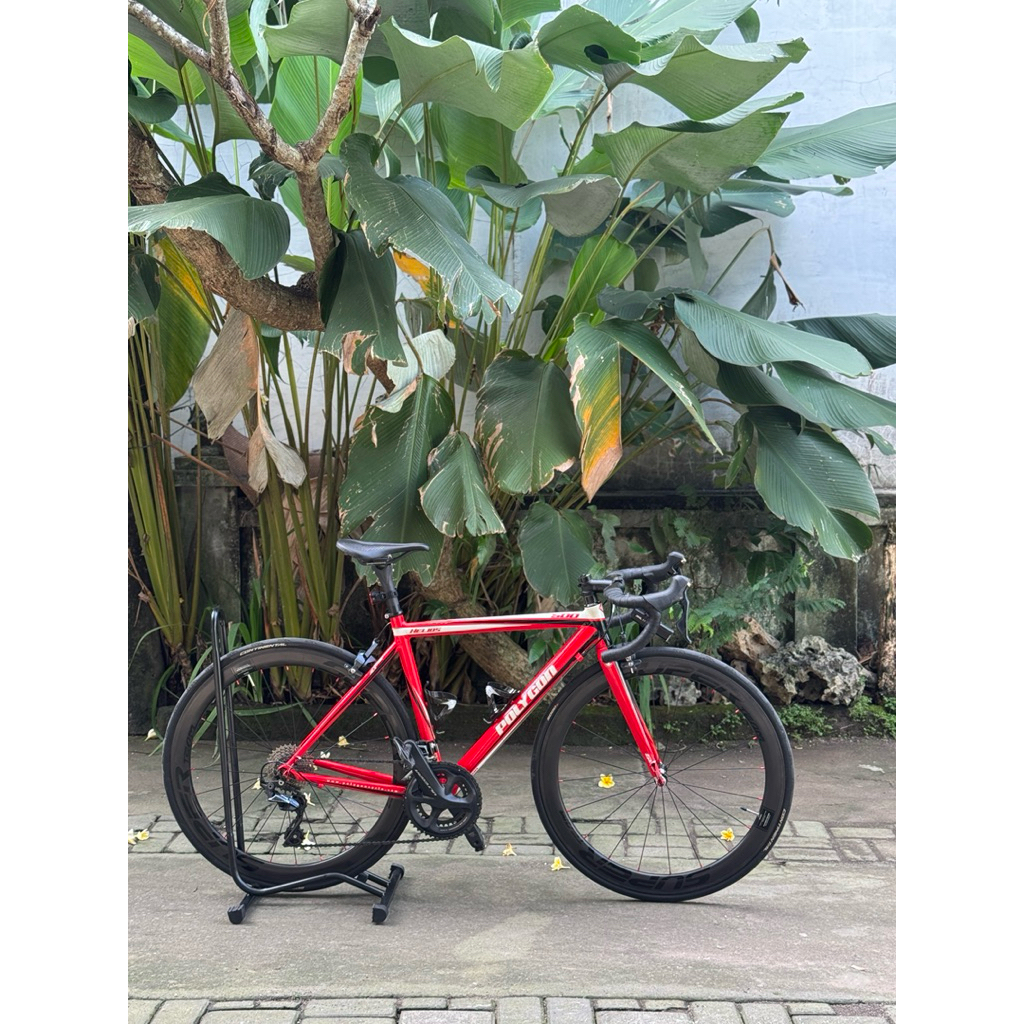 Frameset Polygon Helios 500 Size 50