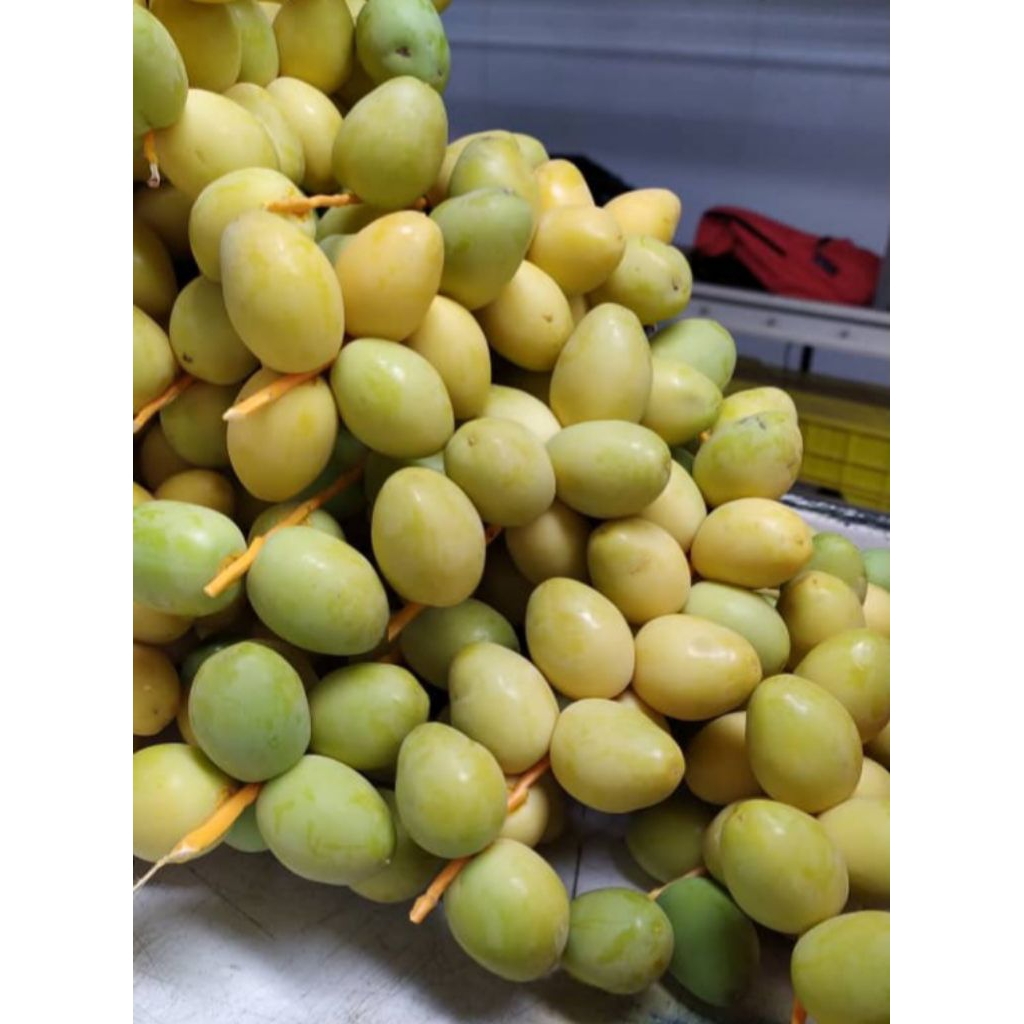 

Kurma muda fresh bukan beku per 1kg