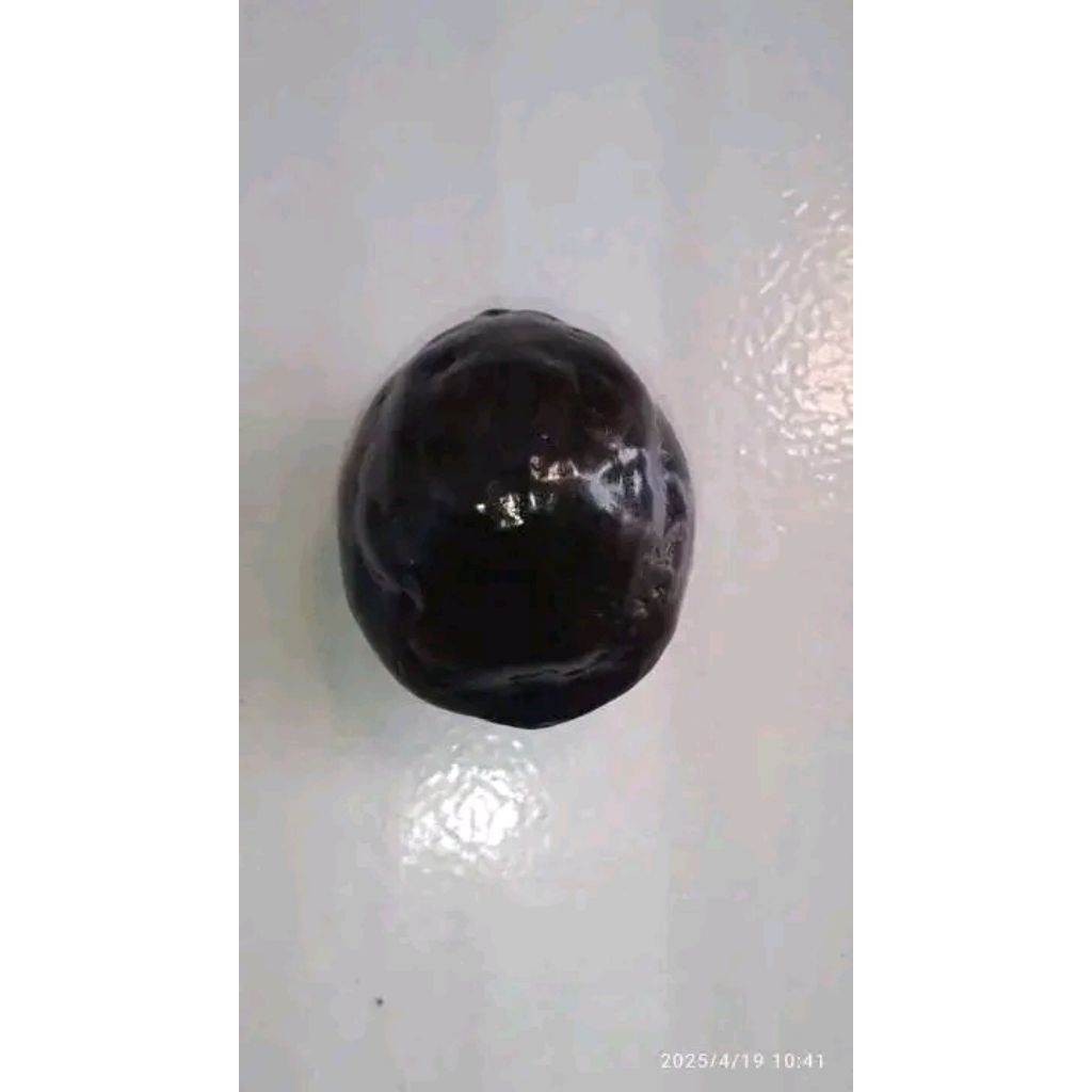 

muncang aduan anak langit
