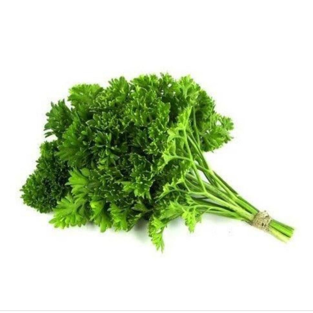 

Parsley Fresh Segarr Daun