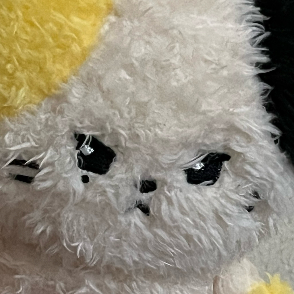 RININI GYUNINI ZERONI