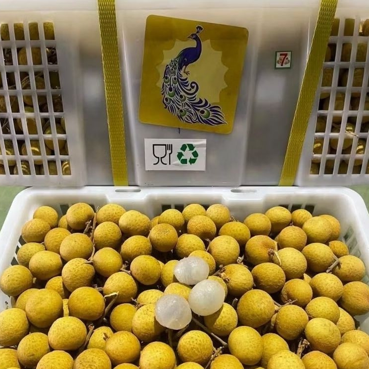 

KELENGKENG 1 KERANJANG STICKER GOLD GEDE GEDE 12KG SUPER MANIS