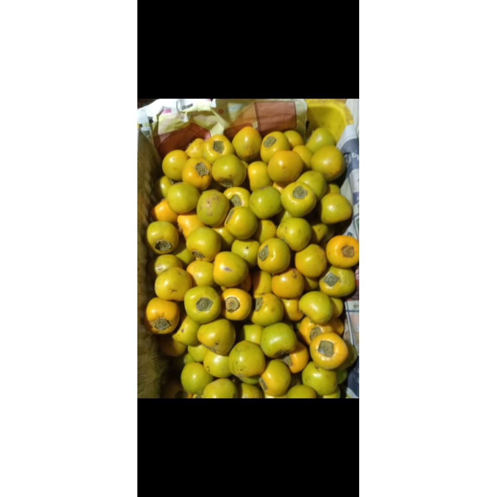 

buah kesemek ukuran 1kg