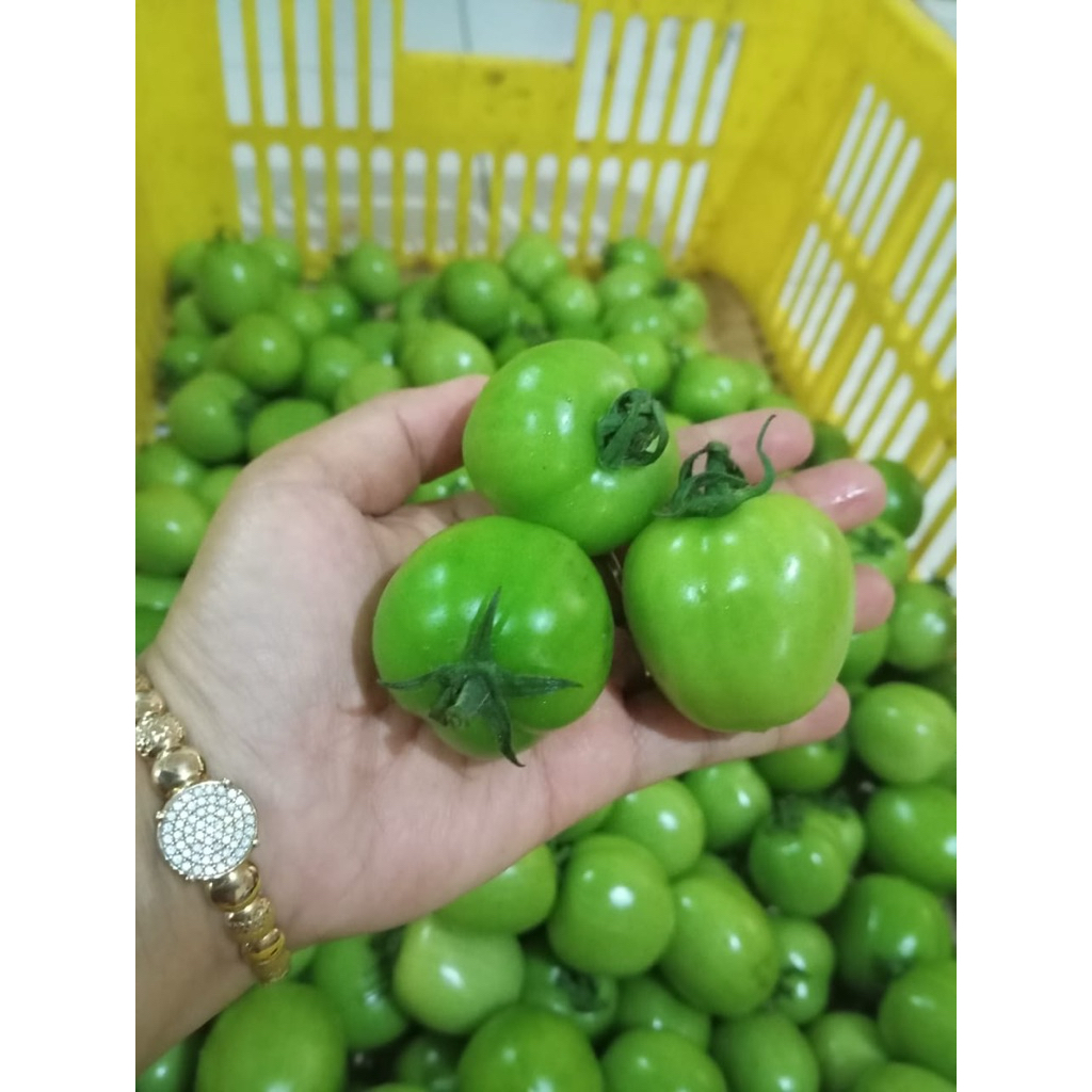 

tomat hijau fresh nabatinaa promo murah berkualitas sayuran organik untuk kesehatan anda, hemat dan praktis