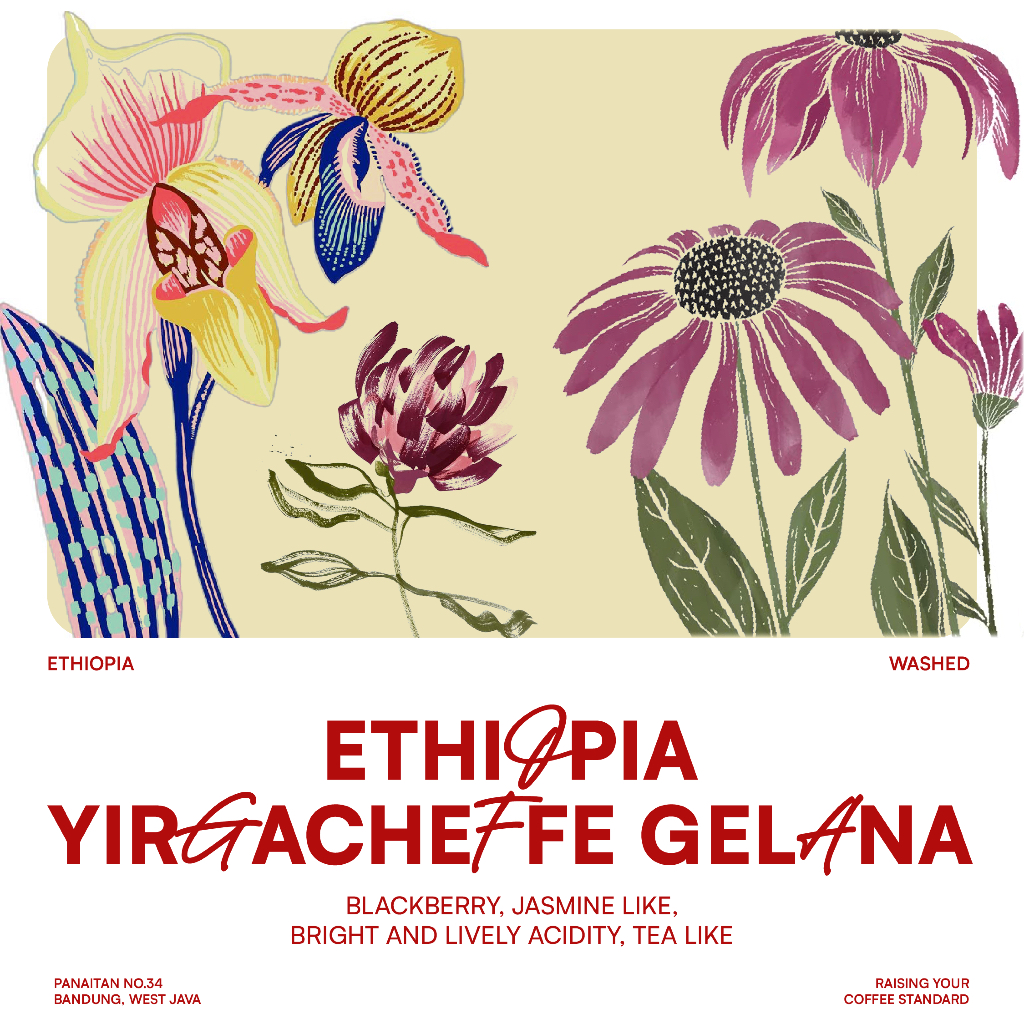 

JACK RUNNERS ROASTERY - EXOTIC BEANS - ETHIOPIA YIRGHACEFFE GELANA - ROASTED BEANS COFFEE