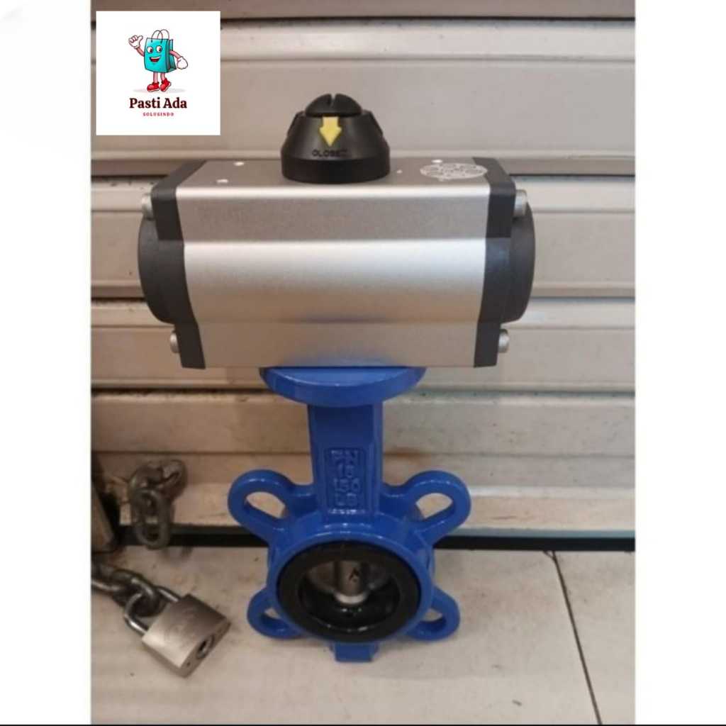 BUTTERFLY VALVE PNEUMATIC ACTUATOR 10" inch / Butterfly Valve DN250
