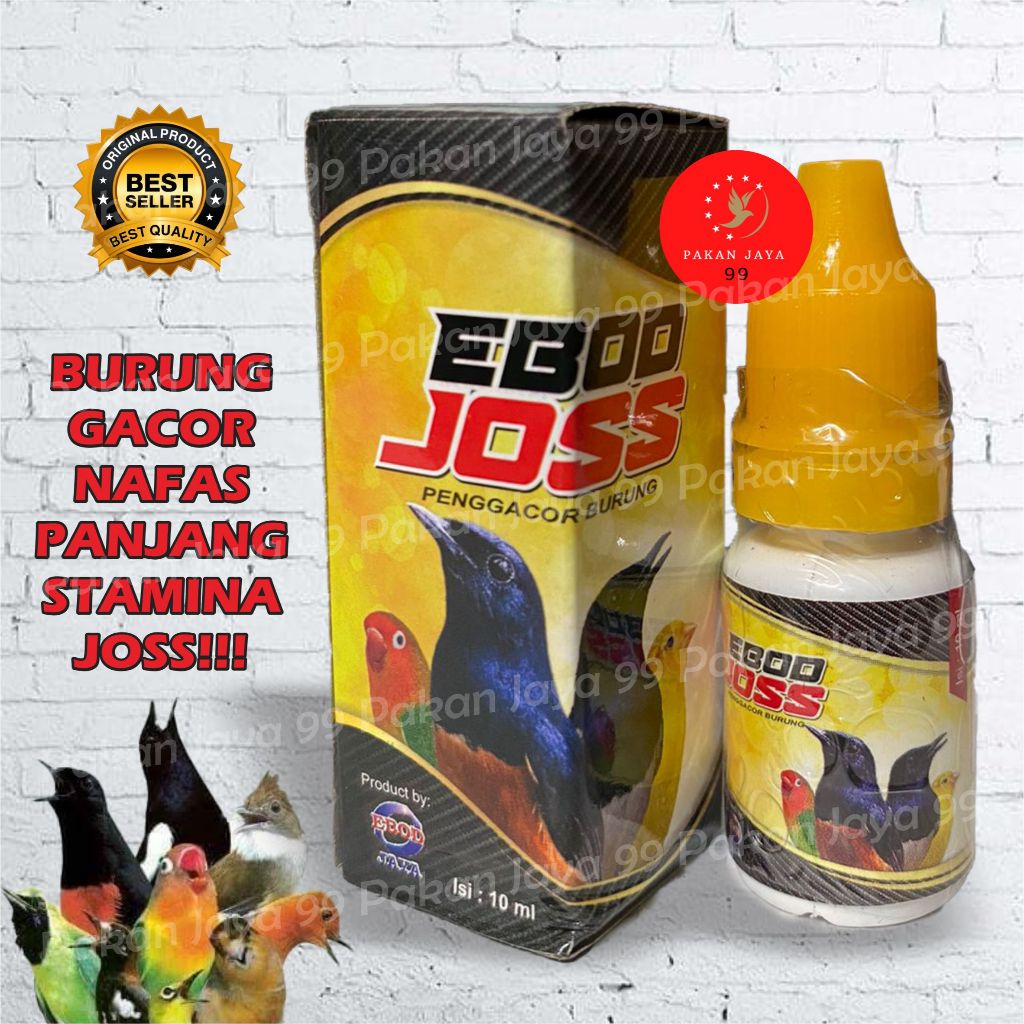 READY EBOD JOSS JOS EBOD JAYA OBAT VITAMIN BURUNG TINGKATKAN STAMINA TENAGA GACOR BUNYI SEHAT MURAI