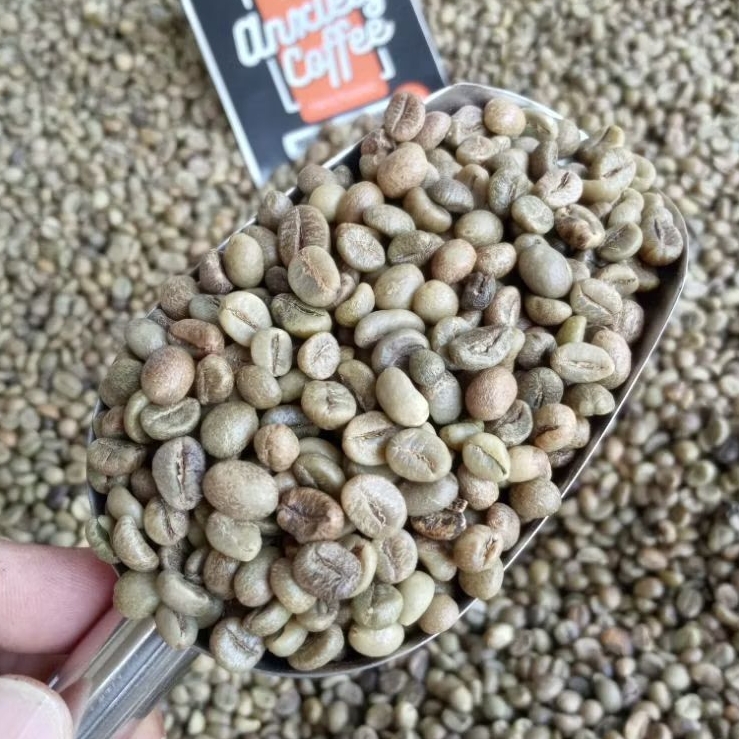 

Anxiety - Green Bean Biji Kopi Robusta Pangandaran All grade