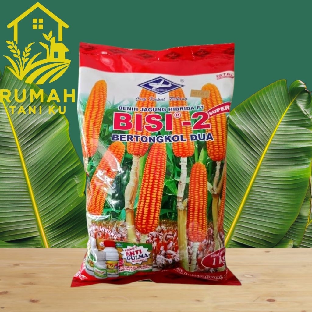Benih jagung hibrida BISI 2