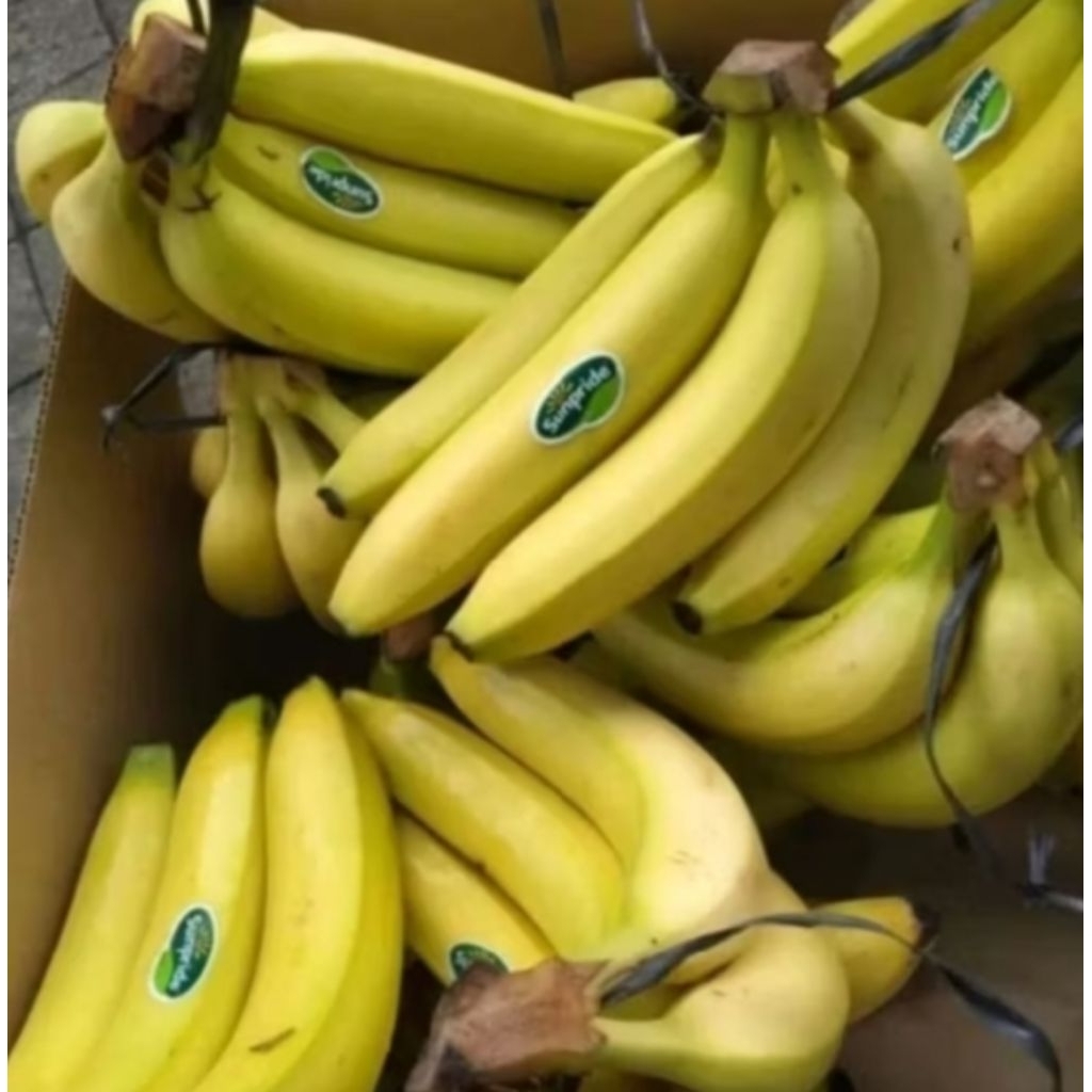 

pisang Sunpride