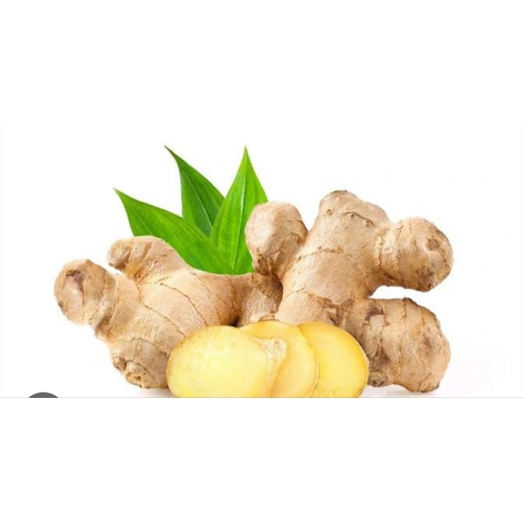 

jahe gajah/jahe/jahe fresh alami/jahe putih 500Gram