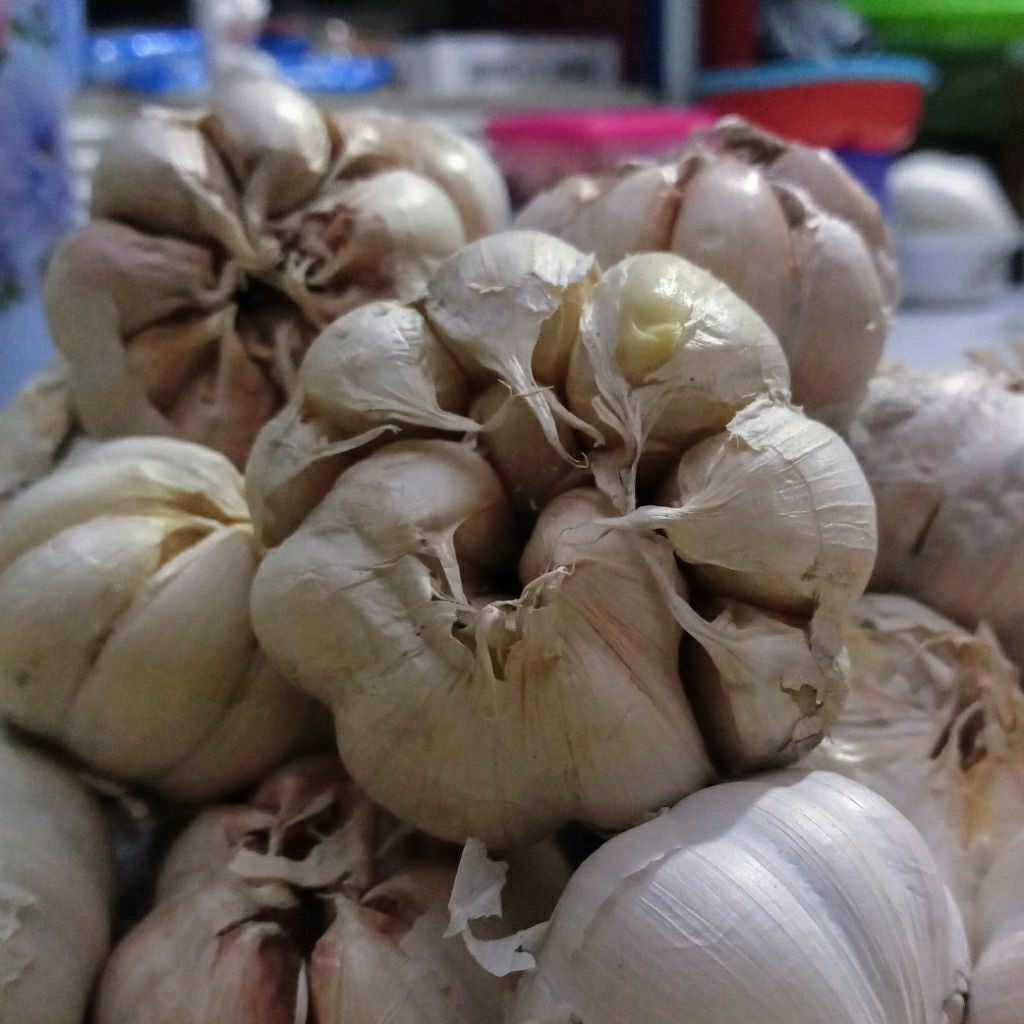 

Bawang Putih Super Kemasan 1kg, 500 gram dan 250 gram