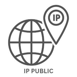 IP PUBLIC DEDICATED