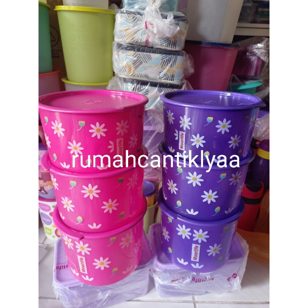 toples daisy moorlife new