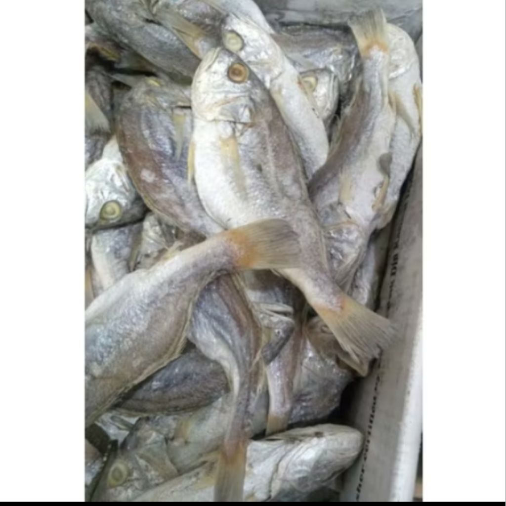 

ikan asin gulama pisang berat 500 gr