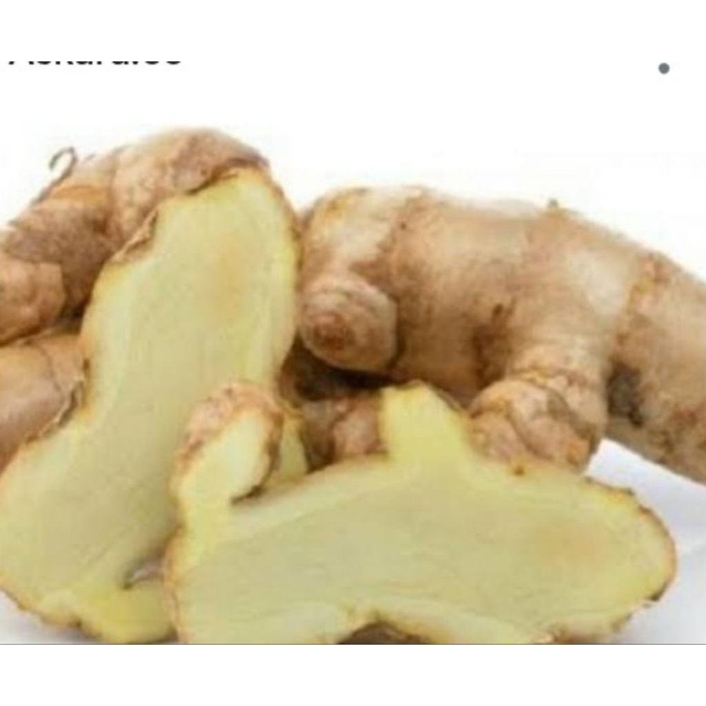 

Jual kunyit putih segar organik 250 g