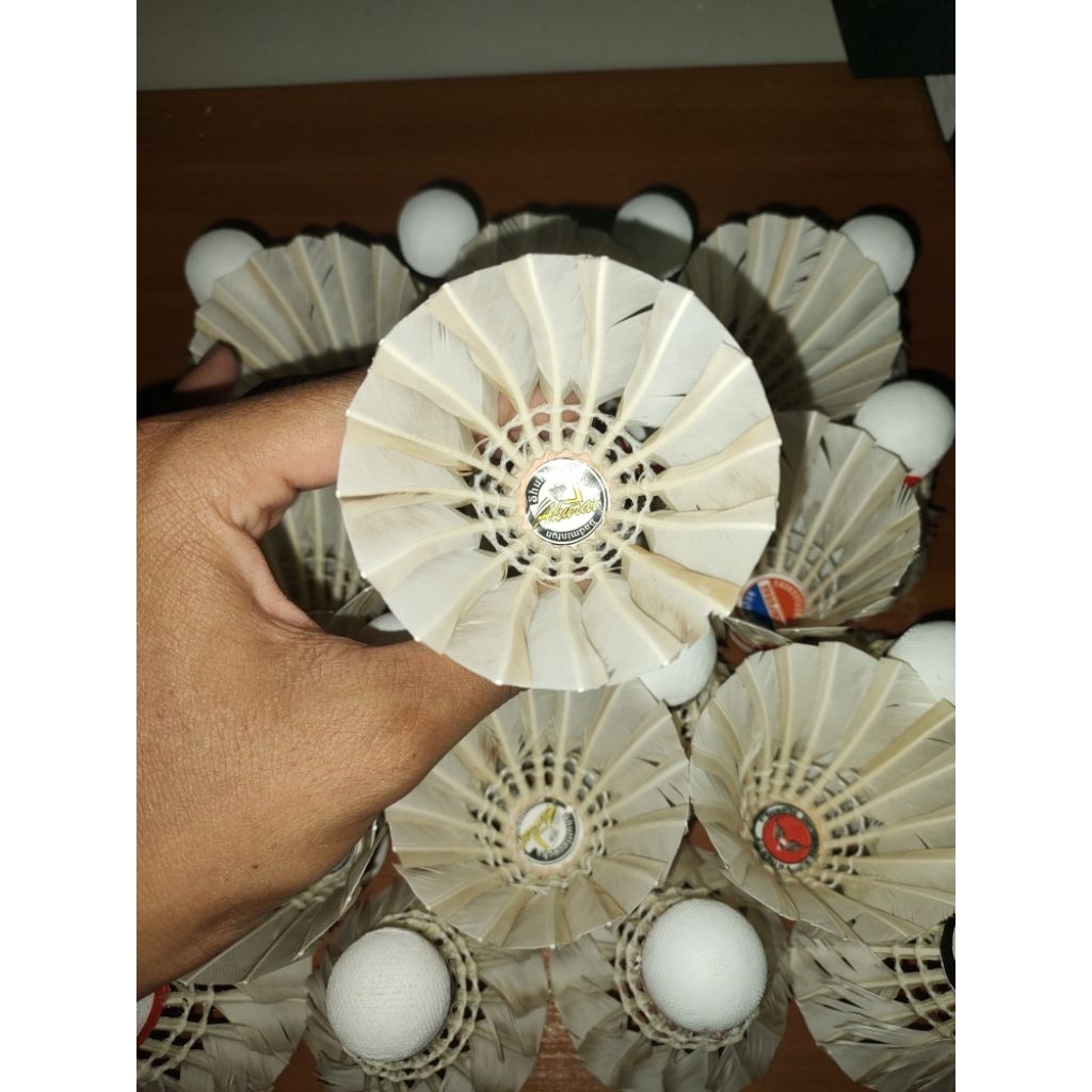 Kok Bekas Bulutangkis Badminton 80- 90% [BULU PAPAK]