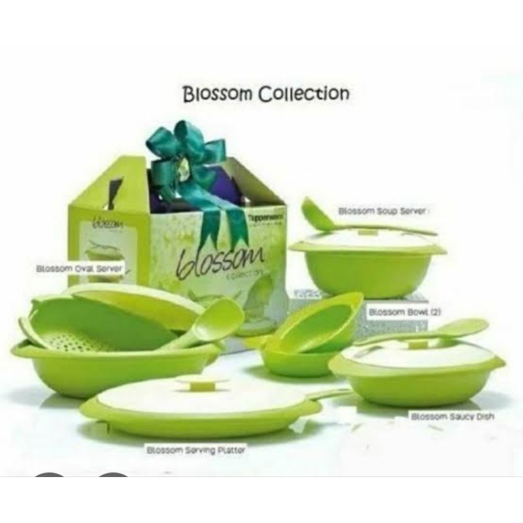 blossom collection set tupperware