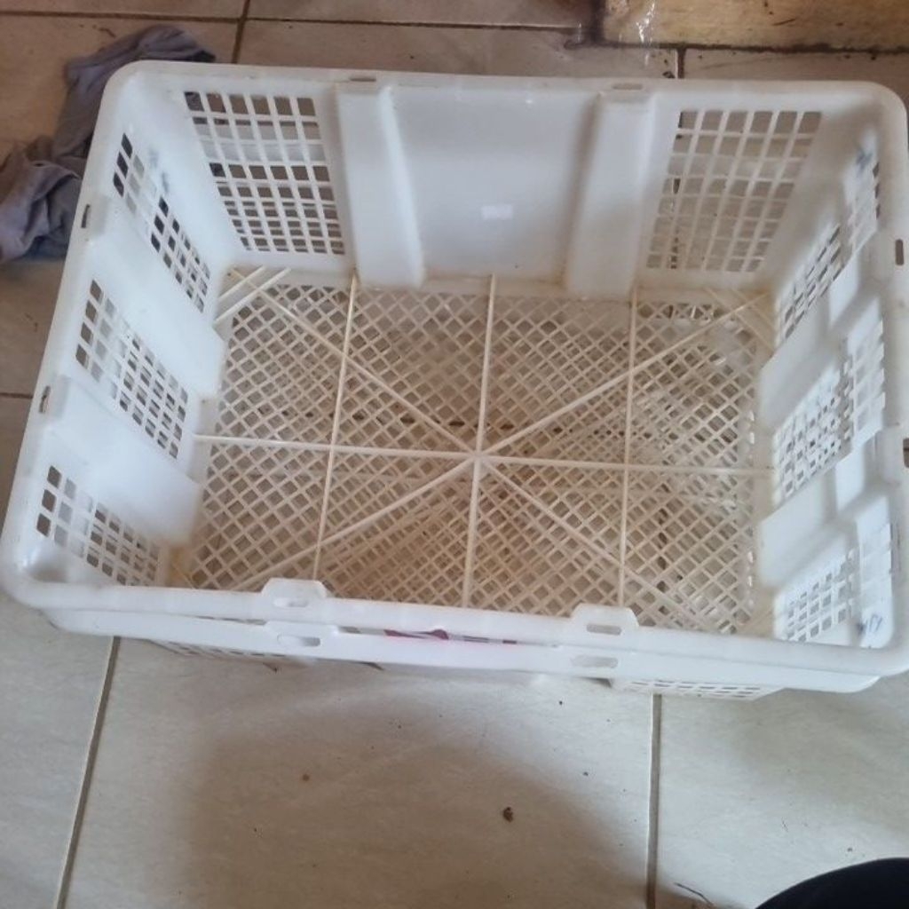 Keranjang Buah Kelengkeng Bekas