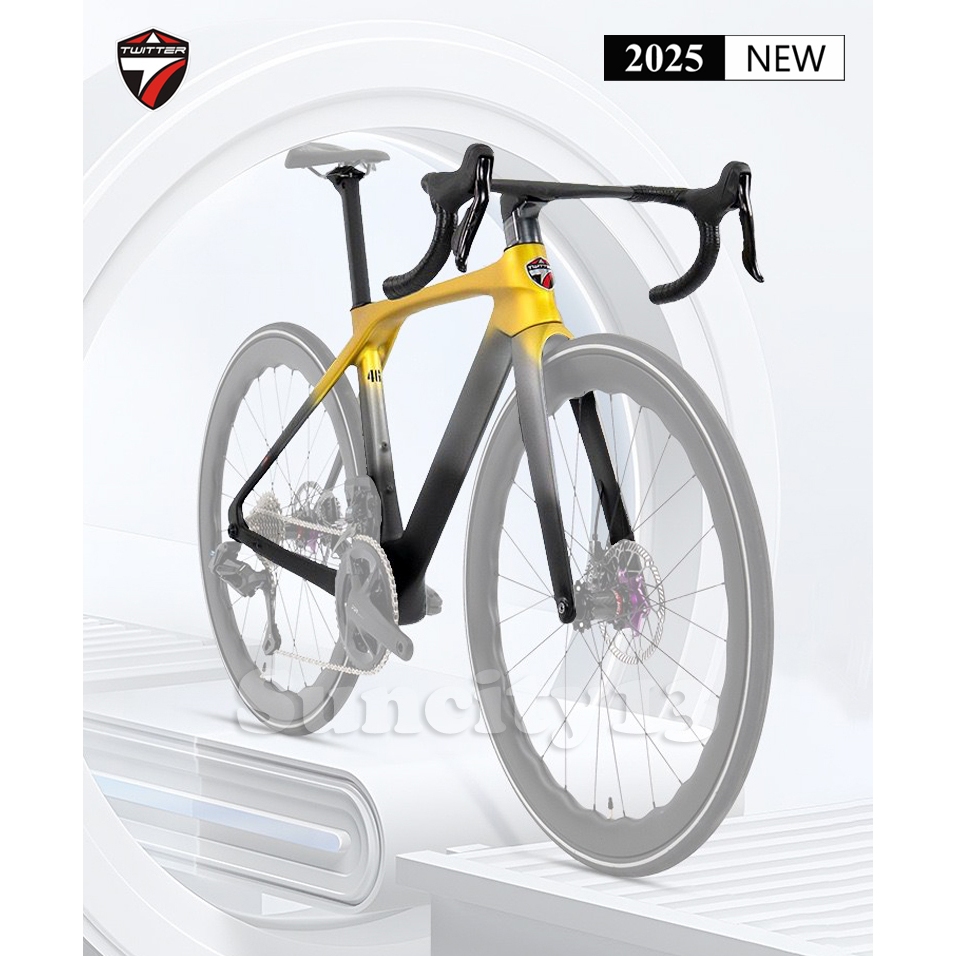 PREORDER Frame Twitter T10 Pro Carbon Disc Brake Frame Roadbike
