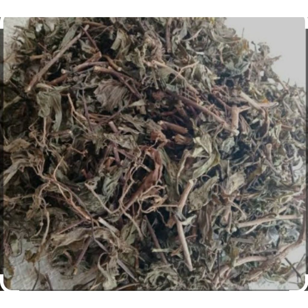 

daun kumis kucing kering 250gr