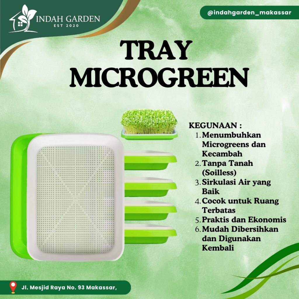 Sprouting Tray Microgreen - Green