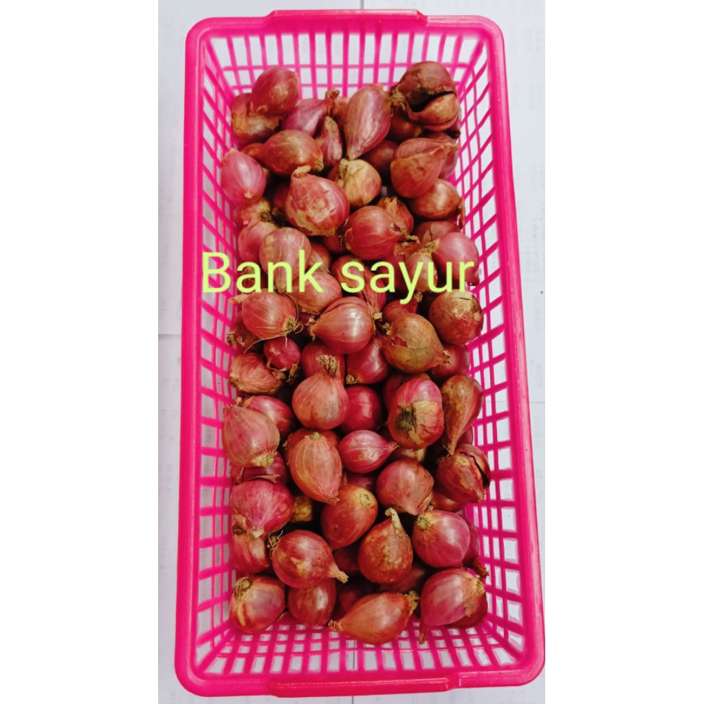 

bawang merah bima tanggung/sedang