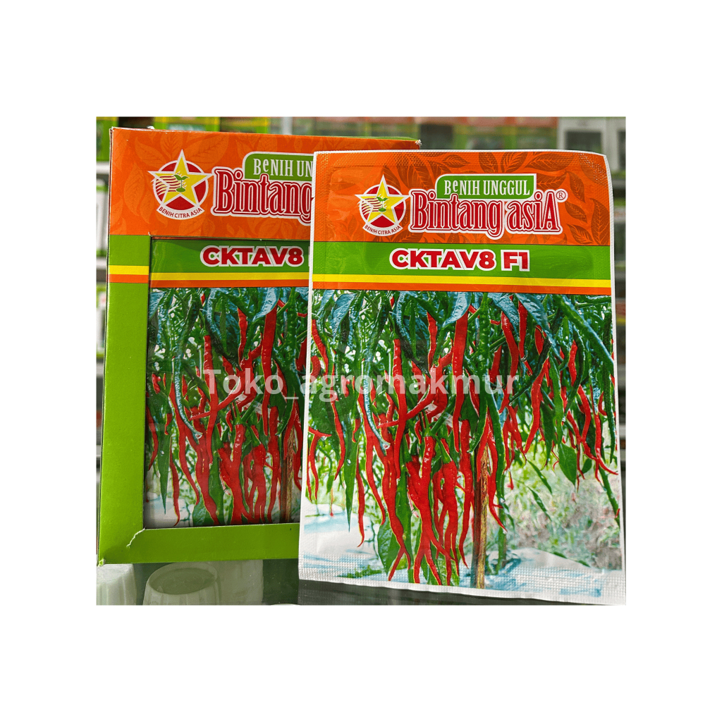 Bibit Cabe Keriting Hibrida CKTAV