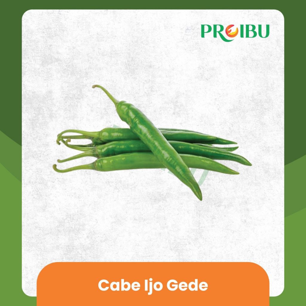 

Cabai Ijo Gede