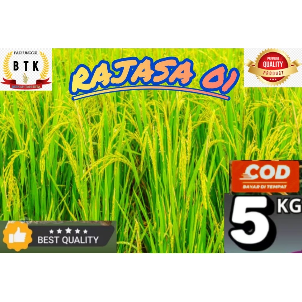 BENIH PADI RAJASA 01 KEMASAN 5KG