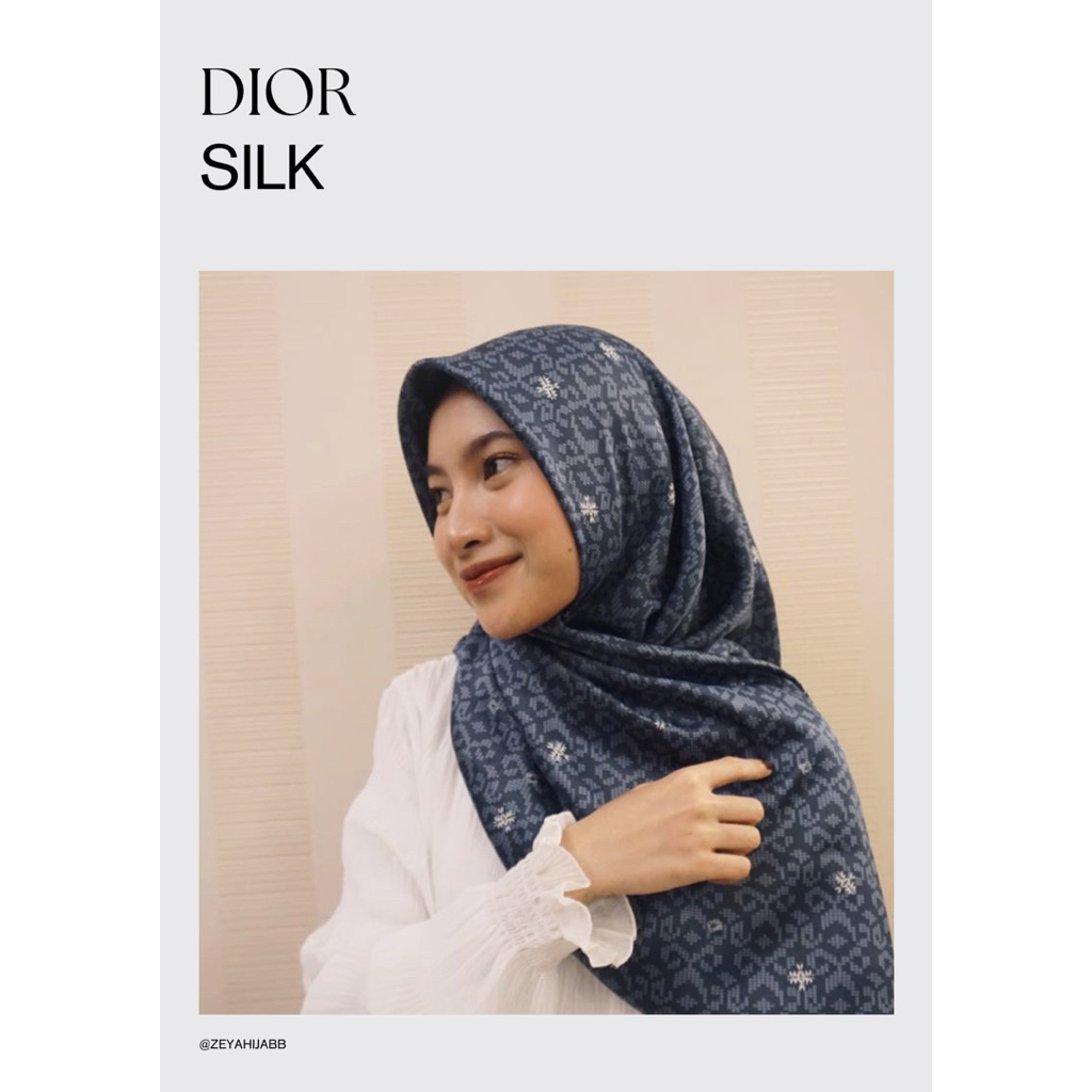 dior silk