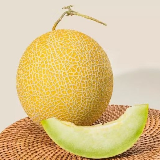 BENIH/BIJI MELON INTHANON GOLDEN EMERALD (5 butir)