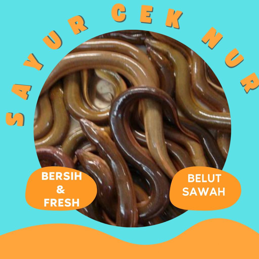 

BELUT SAWAH FRESH - INSTAN PALEMBANG