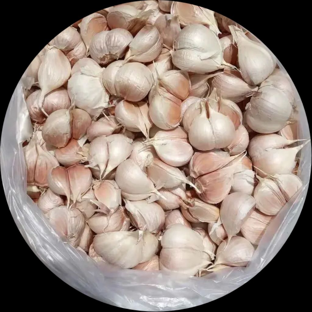 

Bawang Putih Kating Asli Bersih 500gr bumbu dapur