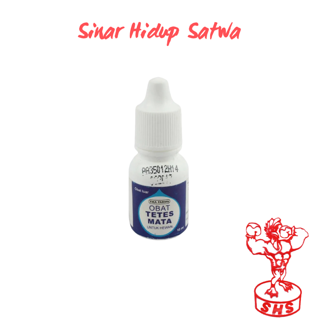 obat tetes mata hewan