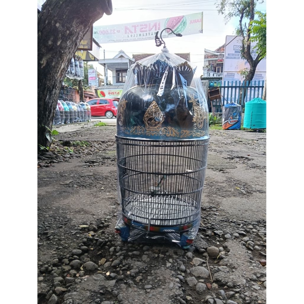 SANGKAR PERKUTUT FIBER MAYANGKARA