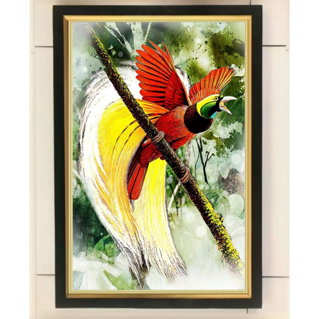 Hiasan dinding lukisan cetak Burung cendrawasih plus Bingkai ukuran 65cm×45cm