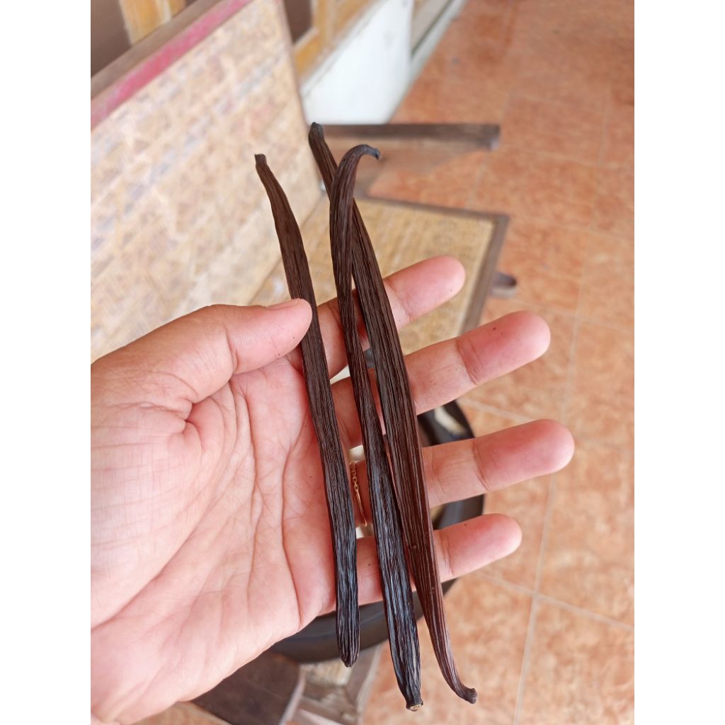 

VANILA/VANILI KERING 16-17CM