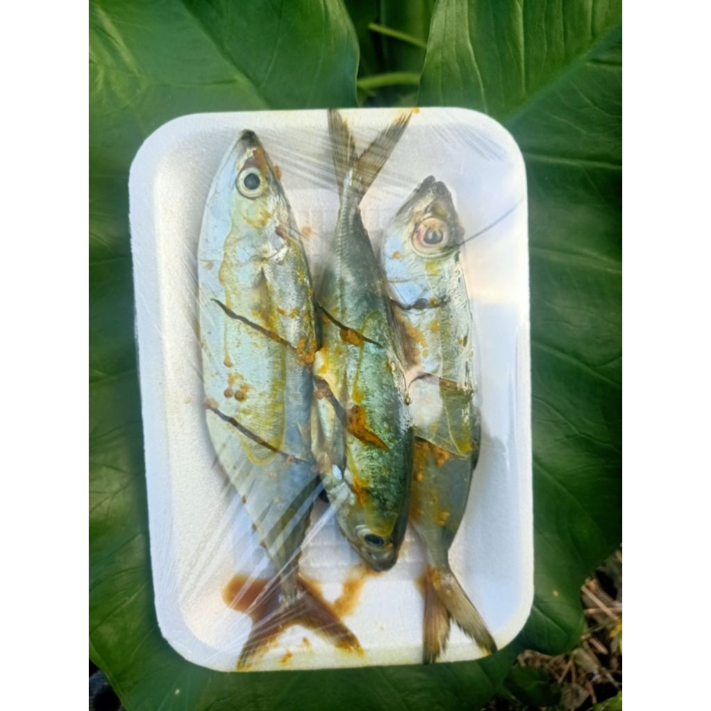 

ikan marinasi