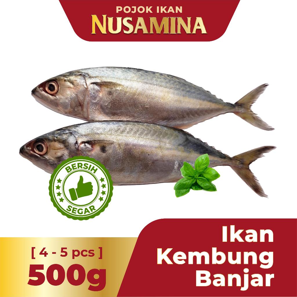 

Nusamina Ikan Kembung Banjar Bersih Segar Frozen [3-4 pcs] 500g