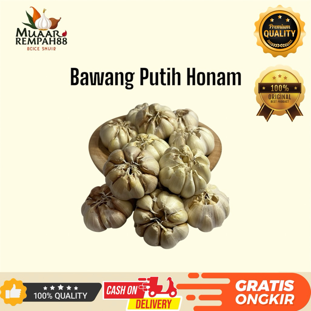

BawangPutih Honam/Bawang putih Banci Bulat