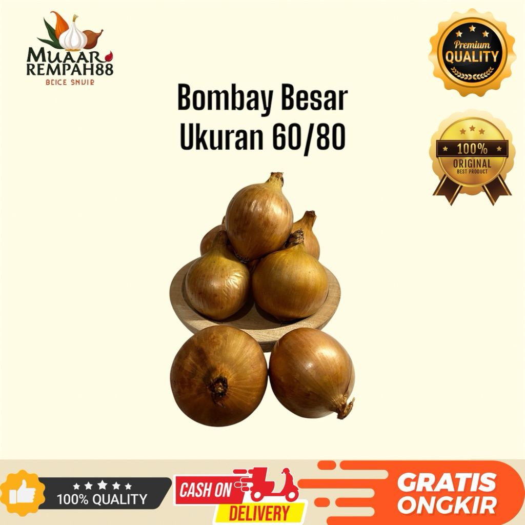 

BombayBesar Ukuran 60/80