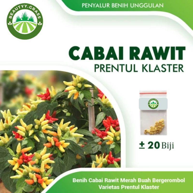 Kyoolaa Bibit Cabe Rawit Prentul Klaster Benih Cabai Rawit Merah Viral