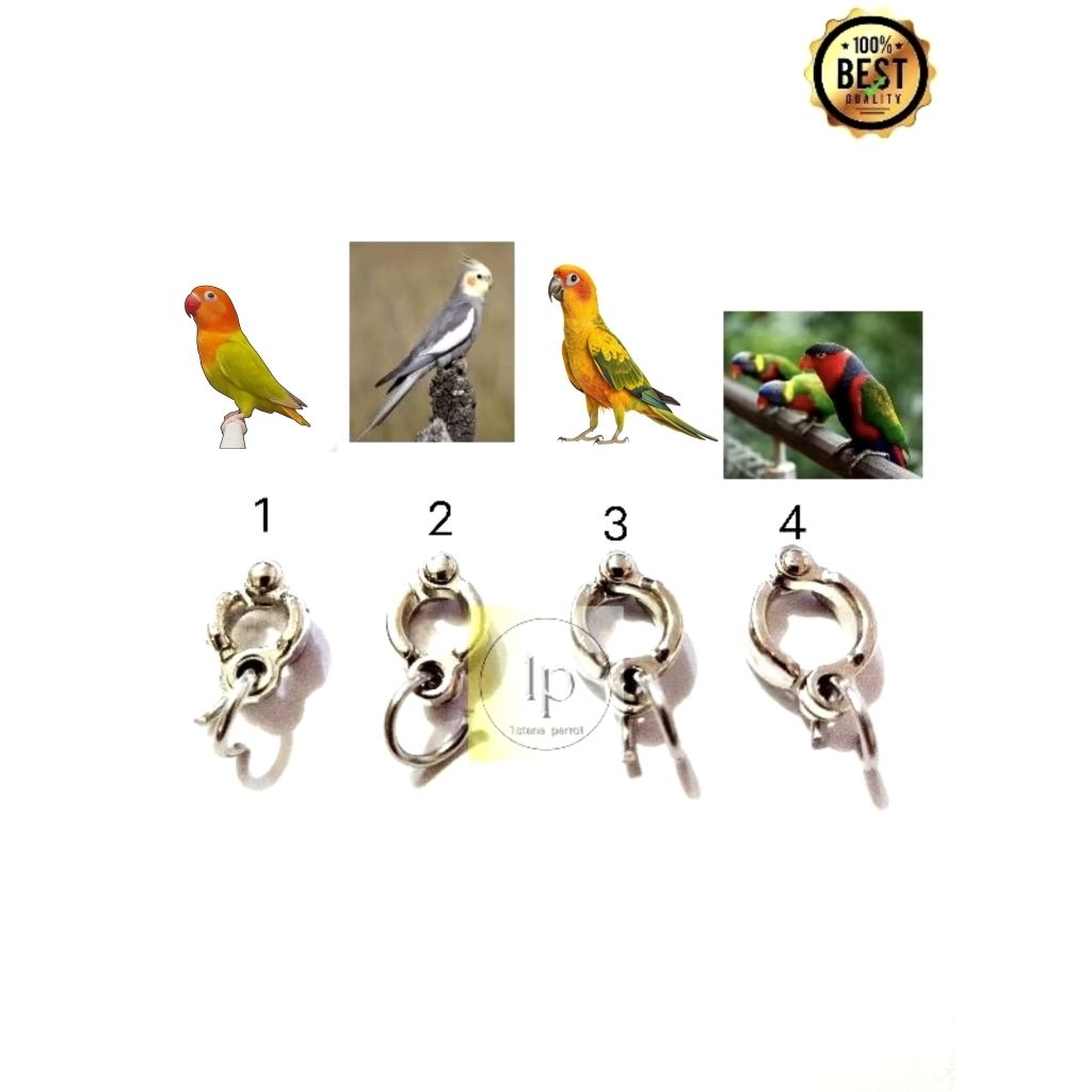 Ring borgol kaki burung Lb, Falk, Betet, Monk, Sunconure, IRN, & Nuri