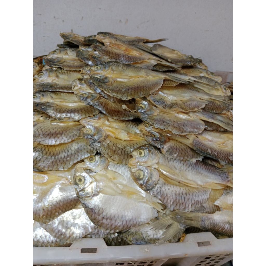 

ikan asin belah TAWES iks