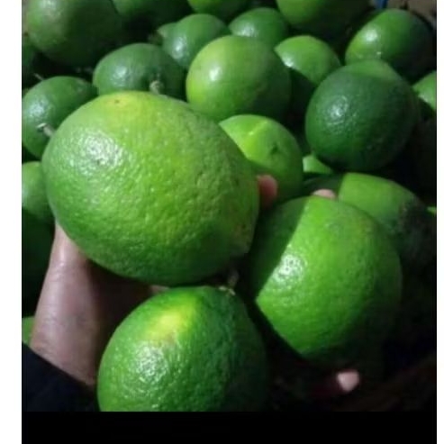 

lemon california 1kg
