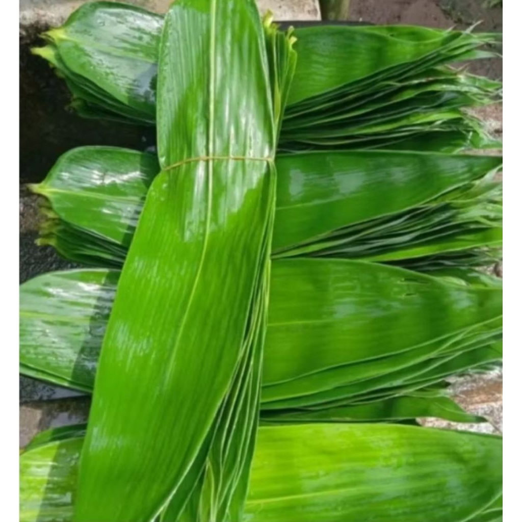 

100 Lembar daun Bambu jumbo buat bungkus bacang bakcang