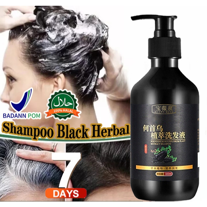 Sampo Penghilang Uban Shampoo Black Herbal Natural Polygonum Multiflorum Hair Blackening perawatan r
