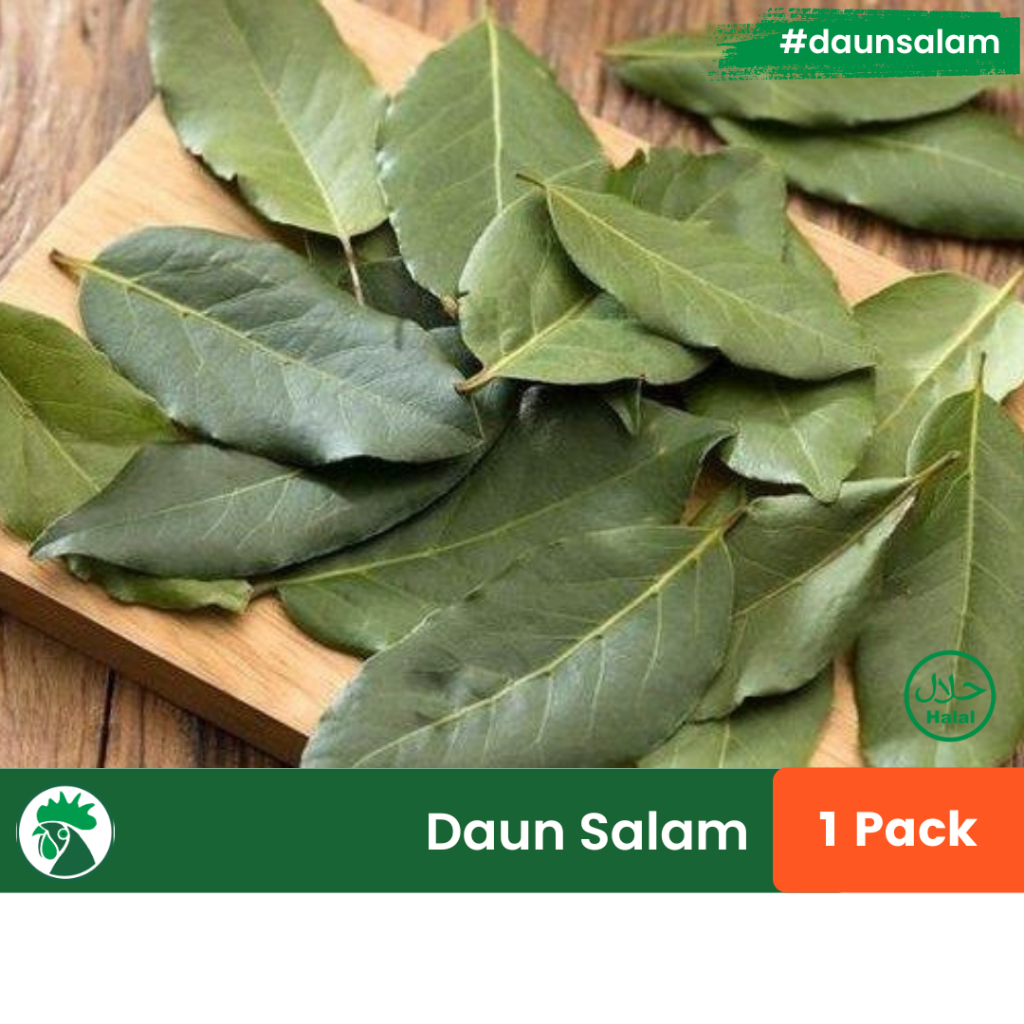 

Daun Salam Segar Packing | Daun Manting | Bay Leaf | Daun Rempah